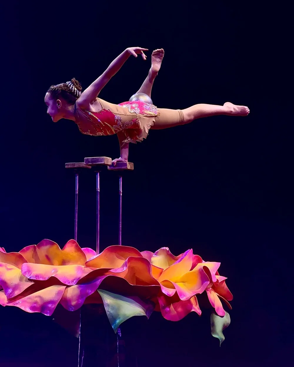 Artistin im Handstand auf Stützen über einer leuchtenden Blüte beim Koblenzer Weihnachtscircus