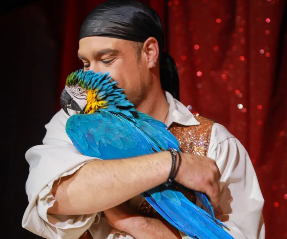Kevin-Probst-Papageien_4