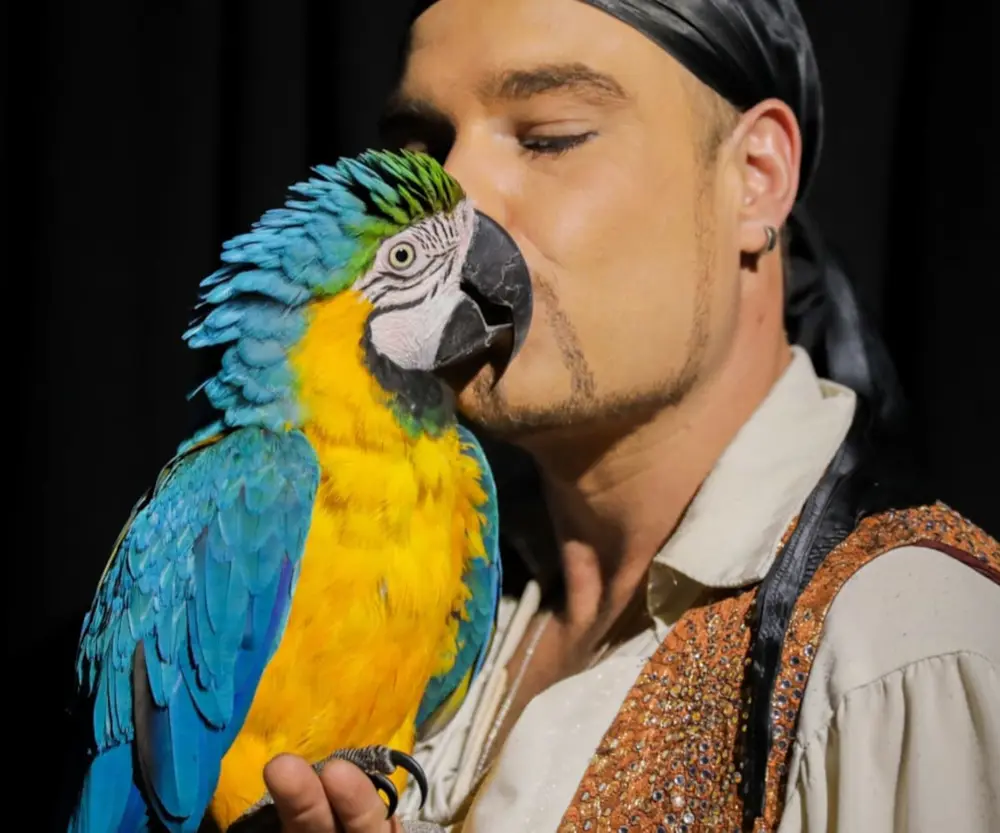 Kevin-Probst-Papageien_5