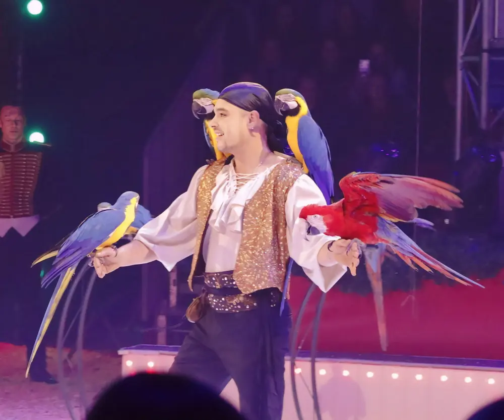 Kevin-Probst-Papageien_6