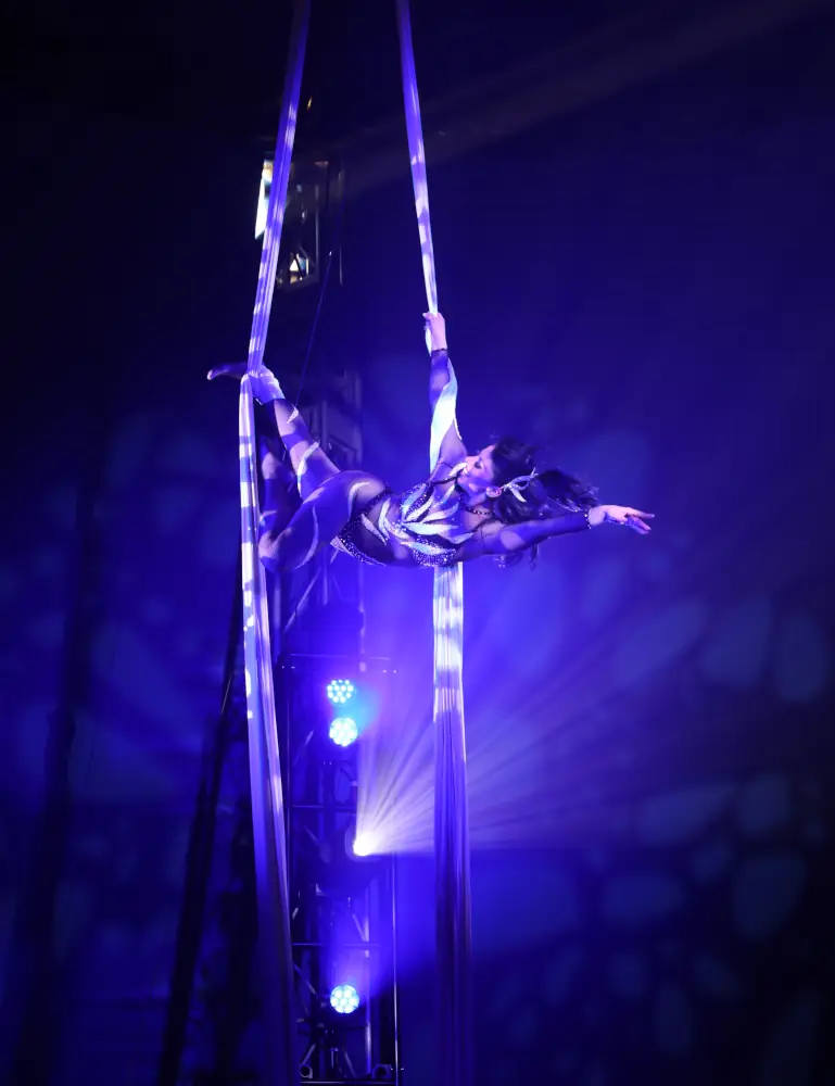 emi_silks_pic_3